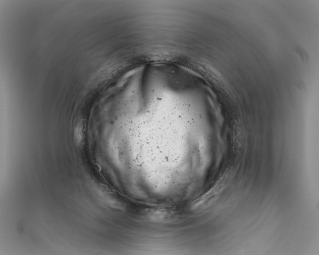 X0000111920074200908101230