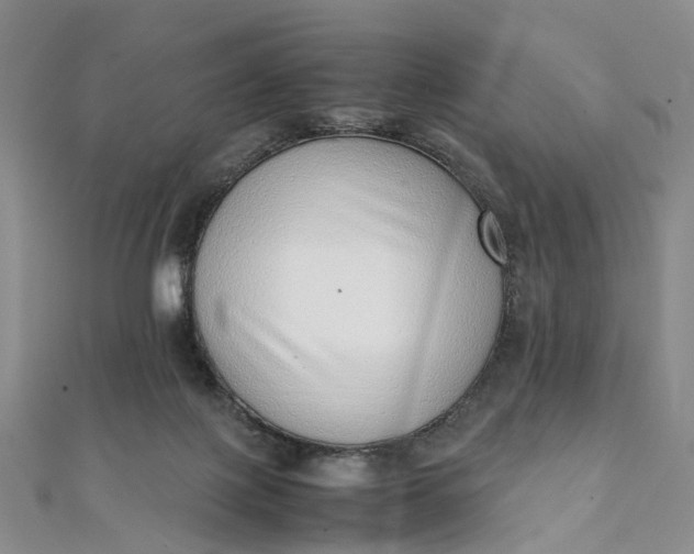 X0000111920075200908101230