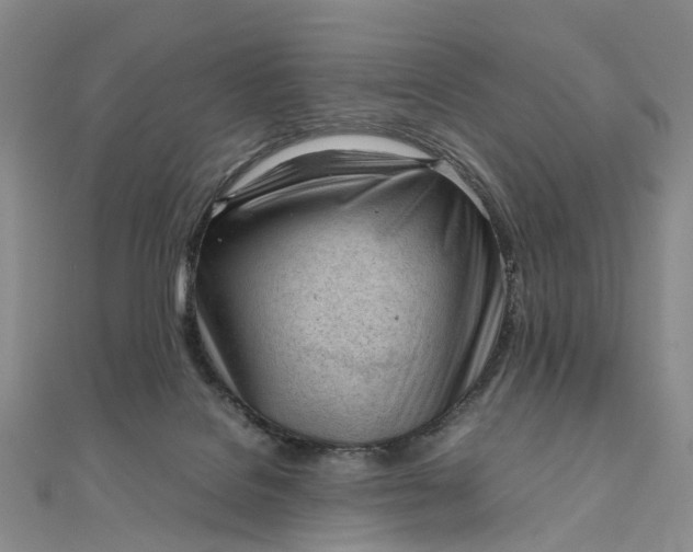 X0000111920076200908101230