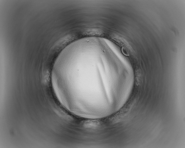 X0000111920077200908101230