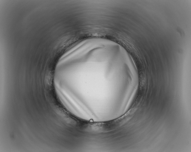 X0000111920078200908101230