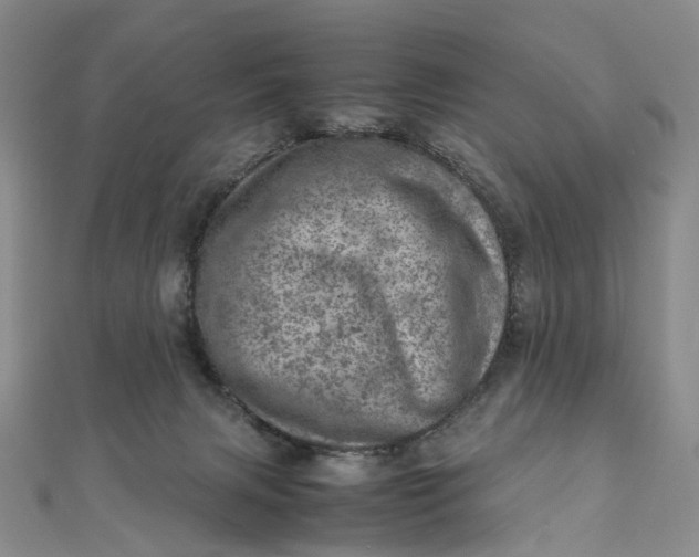 X0000111920079200908101230