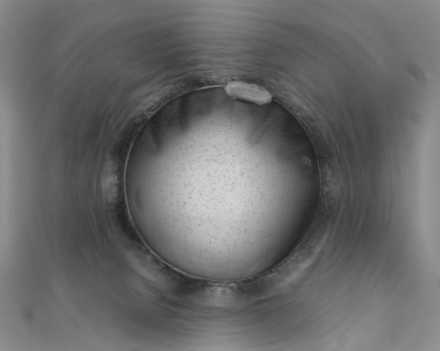 X0000111920080200908101230