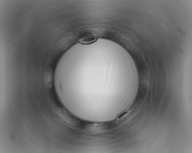 X0000111920082200908101230