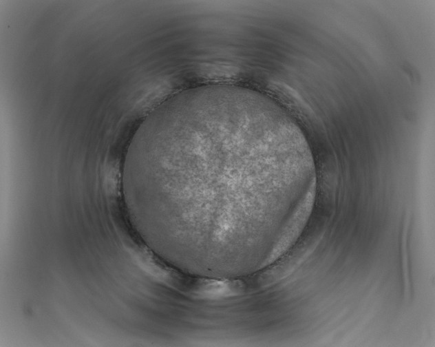 X0000111920083200908101230