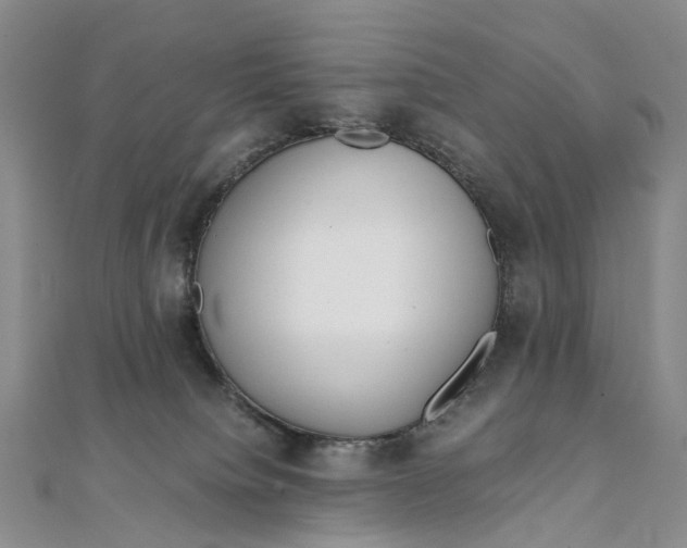 X0000111920084200908101230