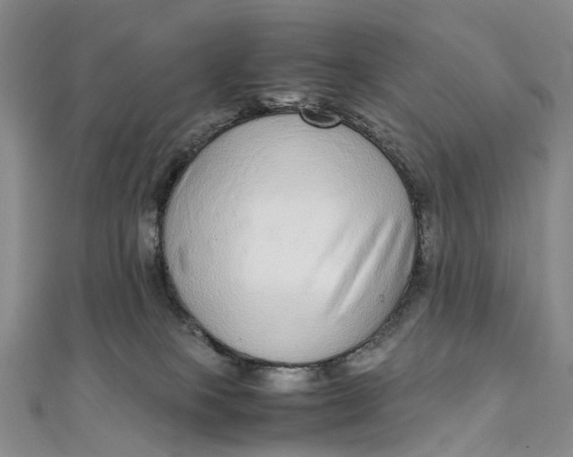 X0000111920085200908101230