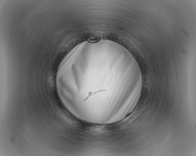 X0000111920086200908101230