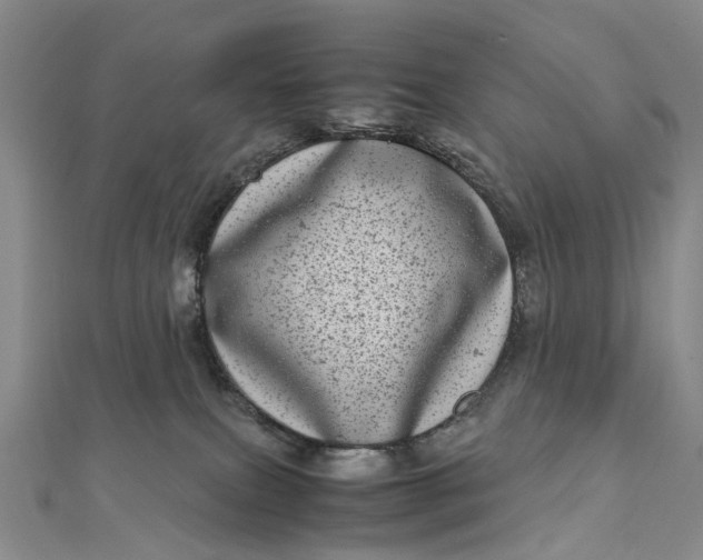 X0000111920087200908101230