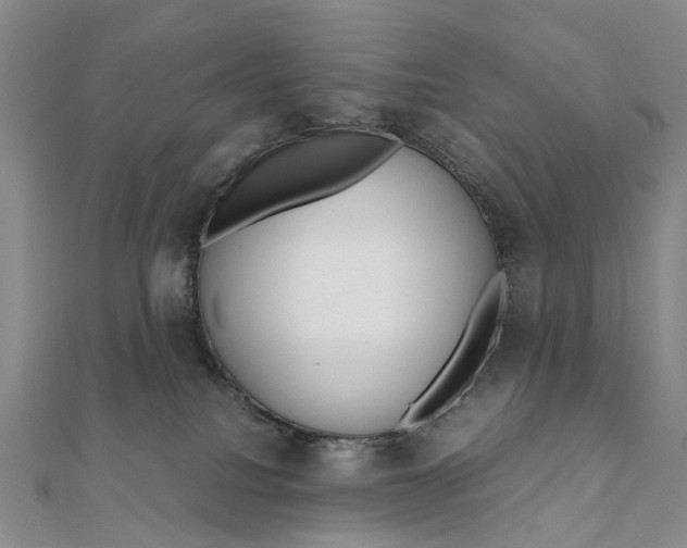 X0000111920088200908101230