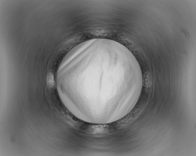 X0000111920089200908101230