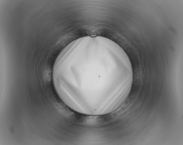 X0000111920090200908101230