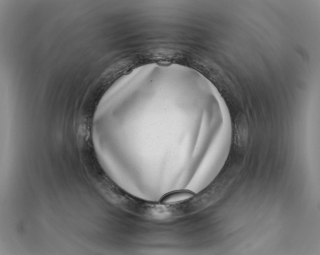 X0000111920091200908101230