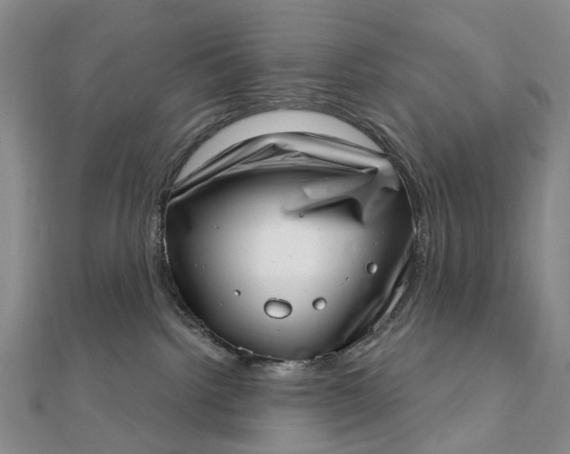 X0000111920092200908101230