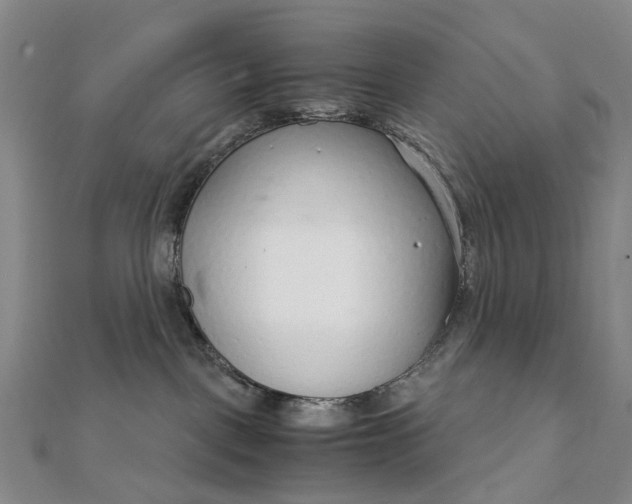 X0000111920093200908101230