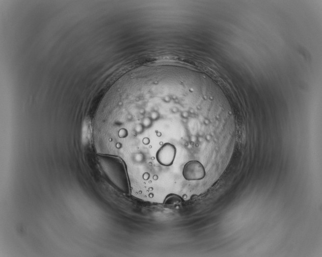 X0000111920095200908101230