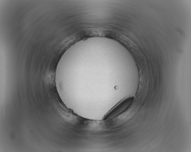 X0000111920096200908101230