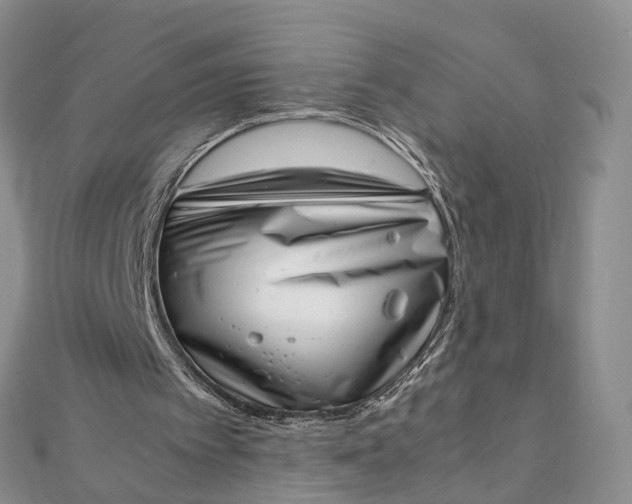 X0000111920097200908101229