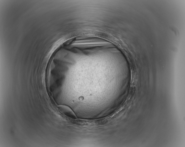 X0000111920099200908101229