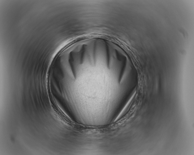 X0000111920100200908101229