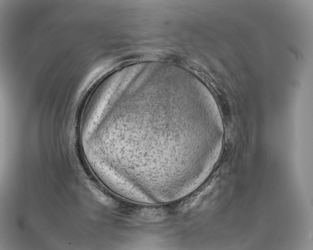 X0000111920101200908101229