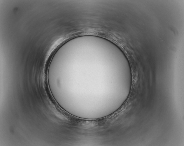 X0000111920102200908101229