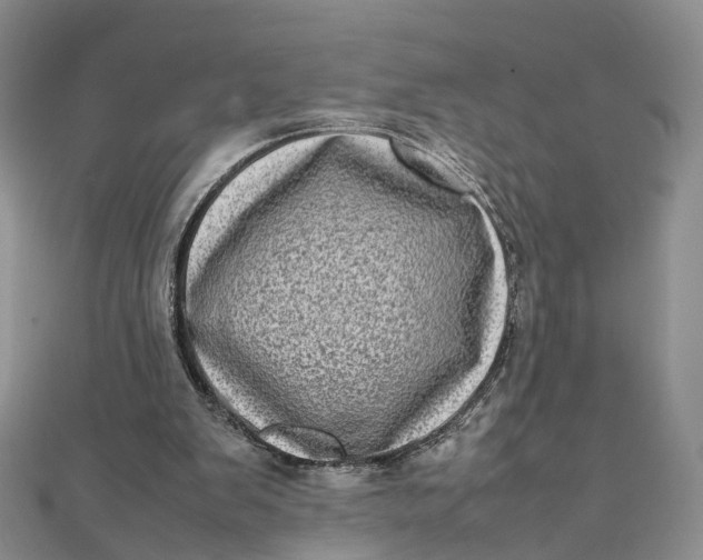 X0000111920103200908101229