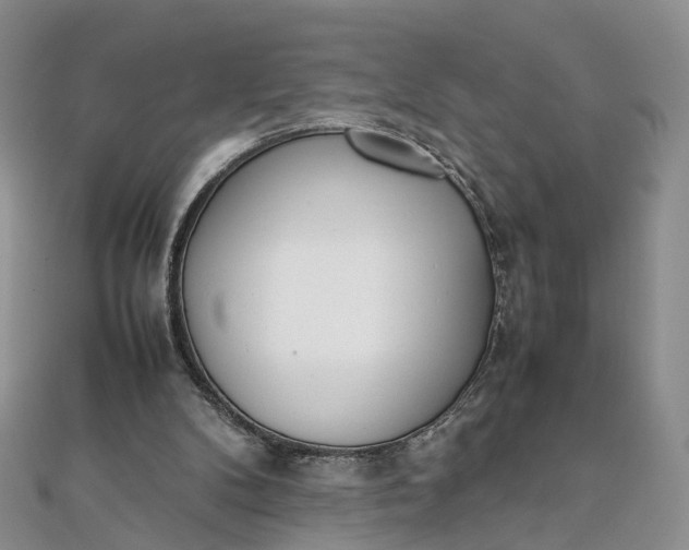 X0000111920104200908101229