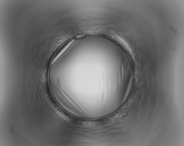 X0000111920105200908101229