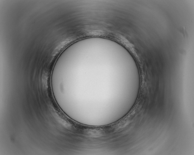 X0000111920106200908101229