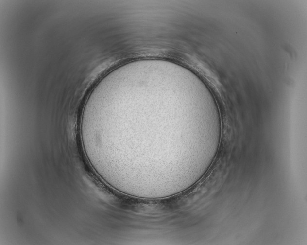 X0000111920107200908101229