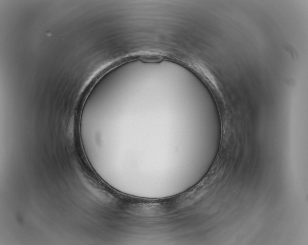 X0000111920108200908101229