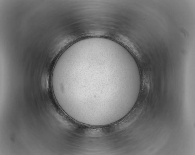 X0000111920110200908101229