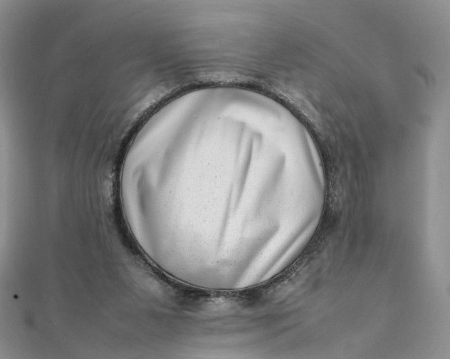 X0000111920111200908101229