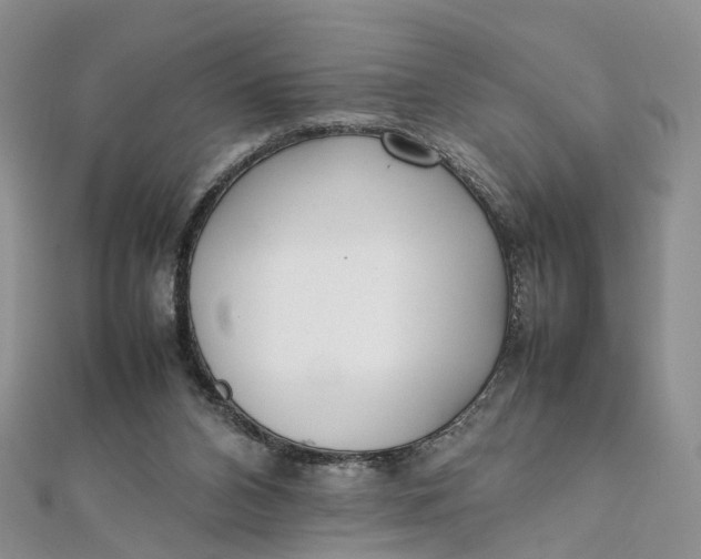 X0000111920112200908101229