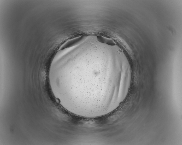 X0000111920113200908101229