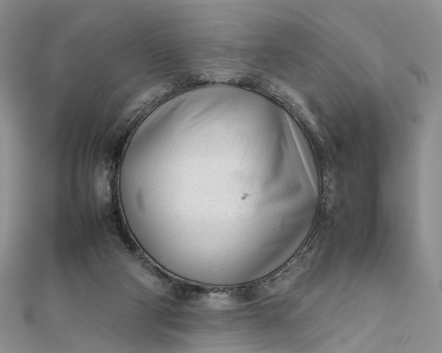 X0000111920114200908101229