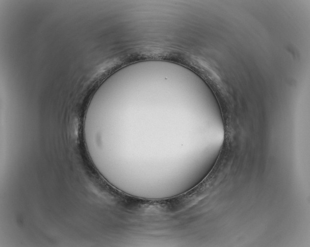 X0000111920115200908101229