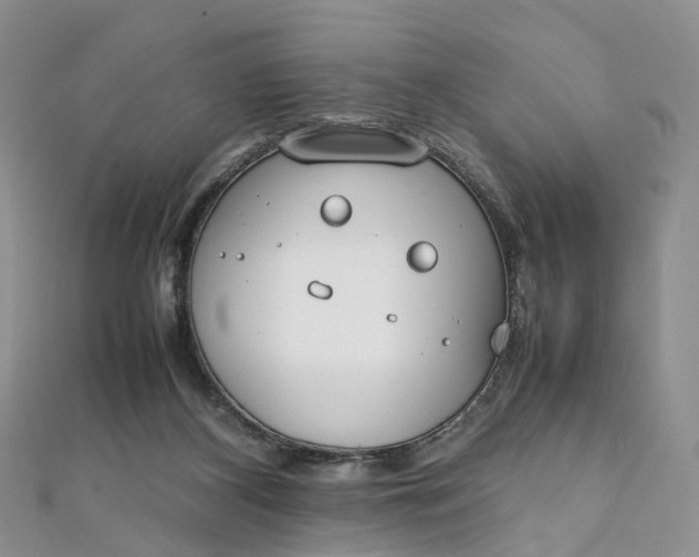 X0000111920116200908101229