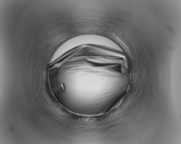 X0000111920117200908101229