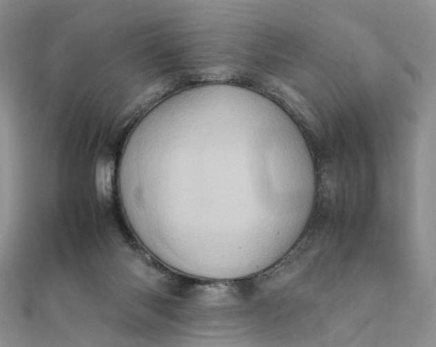 X0000111920118200908101229