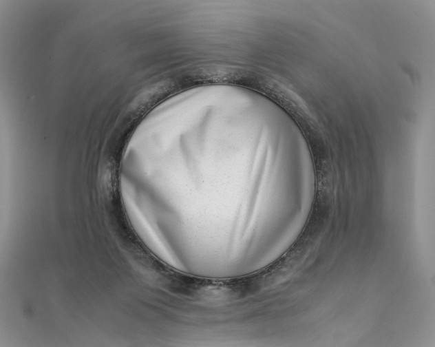 X0000111920119200908101229