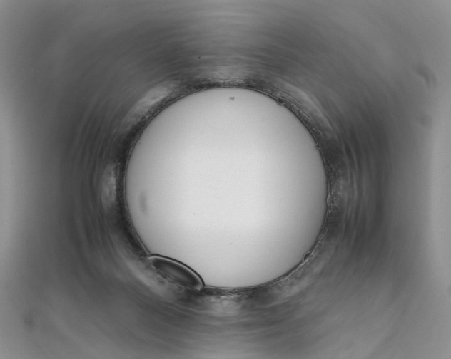 X0000111920120200908101229