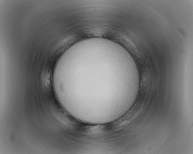 X0000111920122200908101229