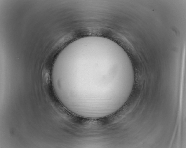 X0000111920123200908101229