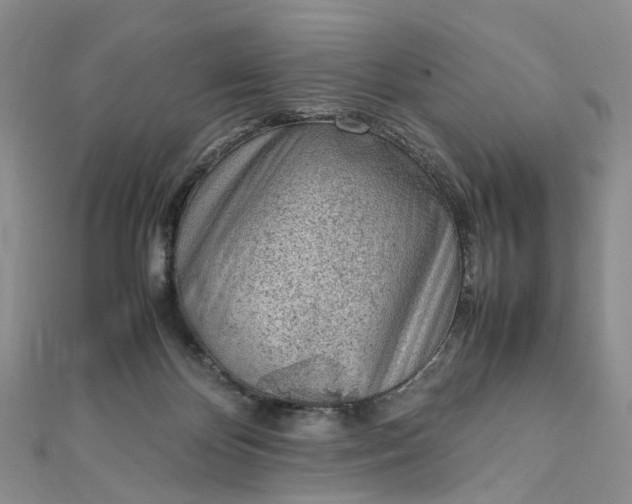 X0000111920124200908101229