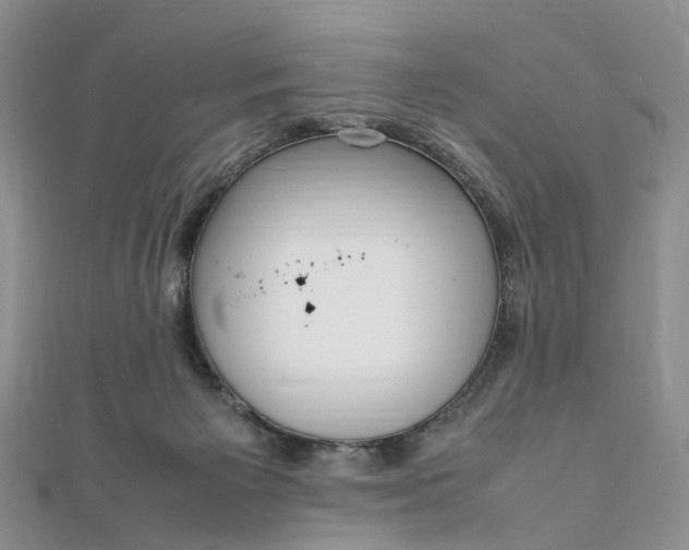 X0000111920125200908101229