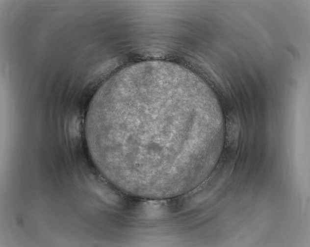 X0000111920126200908101229