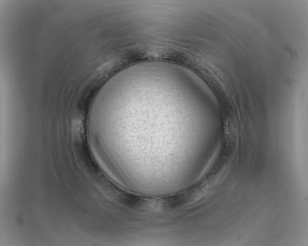 X0000111920127200908101229