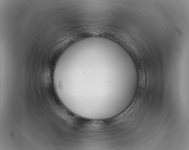 X0000111920128200908101229